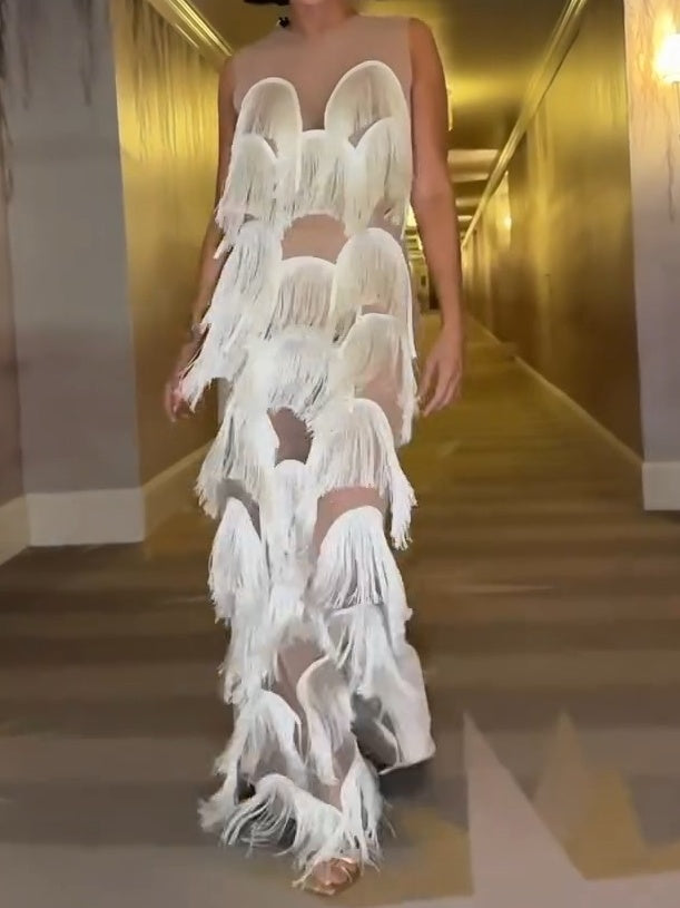 Fringe Trim Lace Overlay Dress